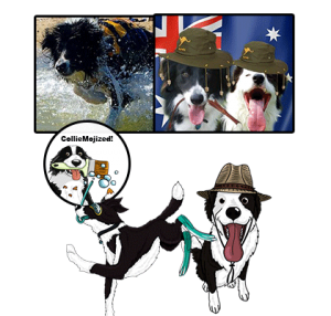 Billy the Border Collie and brother Biscuit cartoon colliemoji
