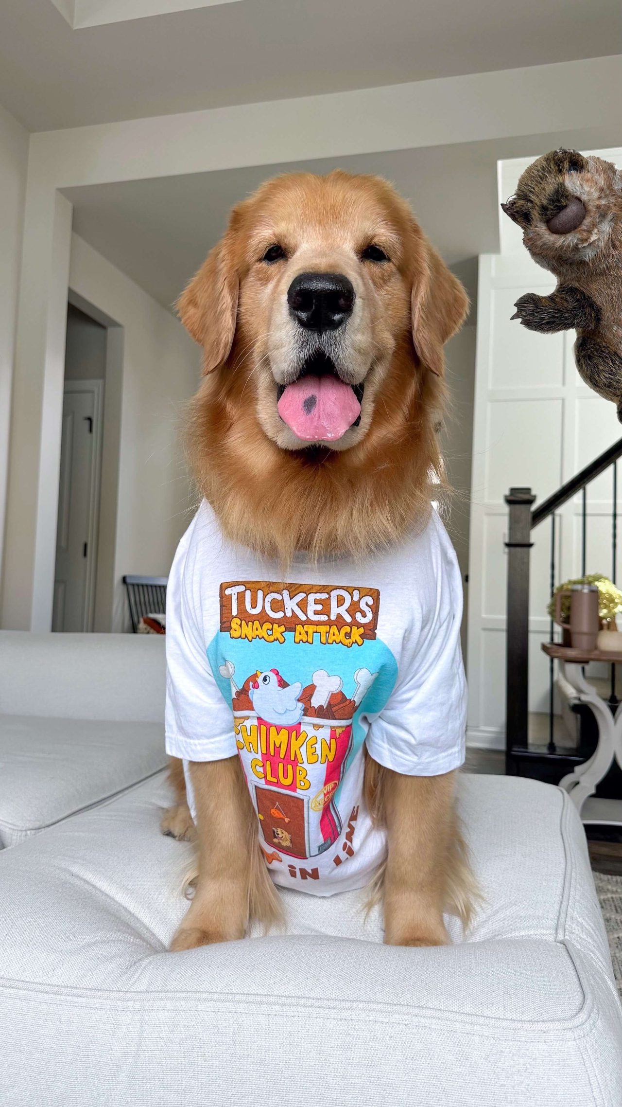 Tucker Budzyn Snack Attack DoggyMakers Studio Tucker Budzyn Snack Attack DoggyMakers Studio