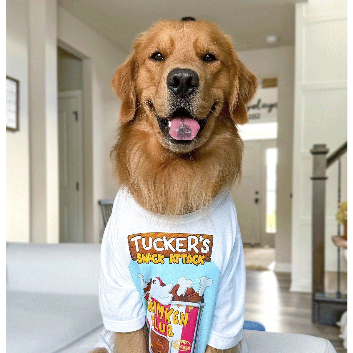 Tucker Budzyn merch shirt